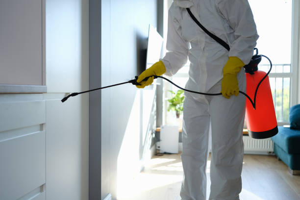 Best Office Mold Removal Services  in La Porte City, IA